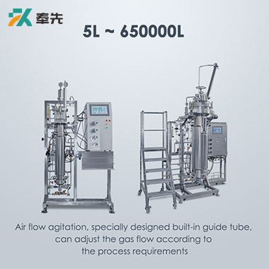 Airlift Bioreactor Fermenter