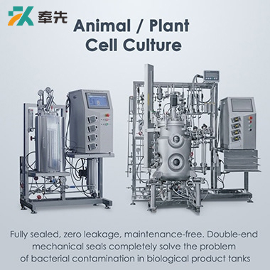 Cell Bioreactor Fermenters