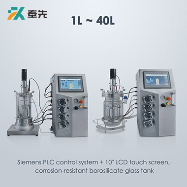 Glass Bioreactor Fermenter