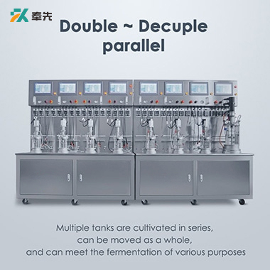 Multiple Glass Bioreactor