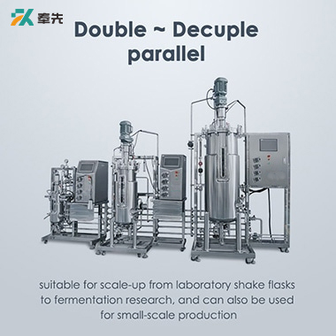 Multiple Multistage Stainless Steel Fermenter