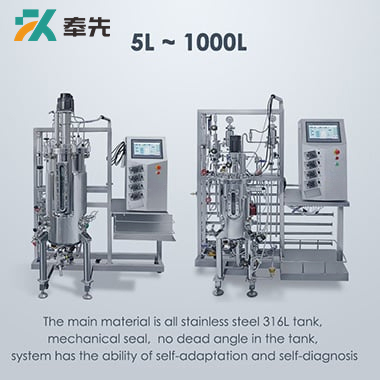 Stainless Steel Bioreactor Fermenter